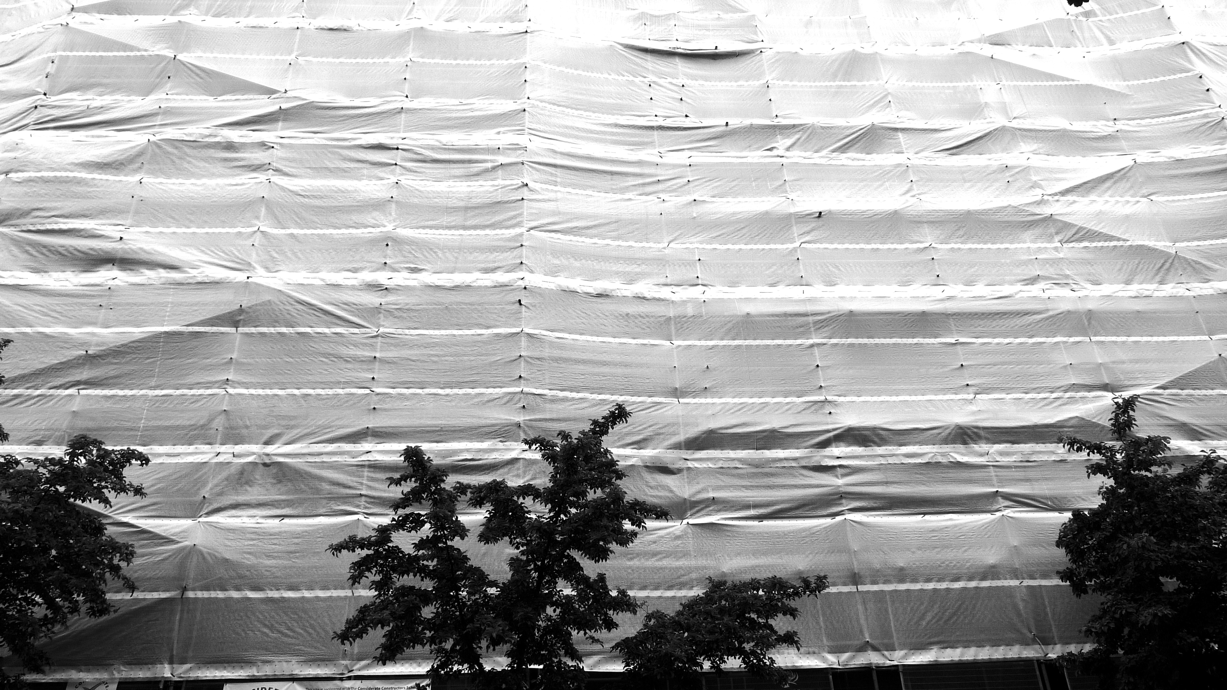 L1080695.JPG