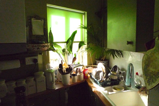 L1090343 - Version 2.JPG