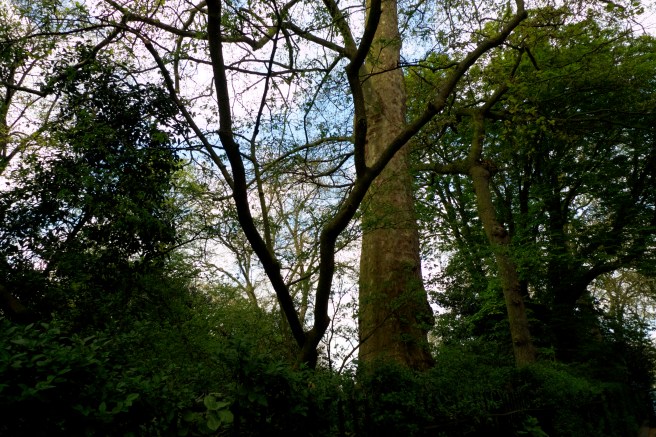 L1100877 - Version 2.jpg