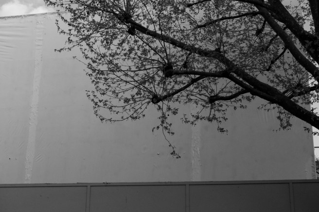 L1100889 - Version 2.jpg