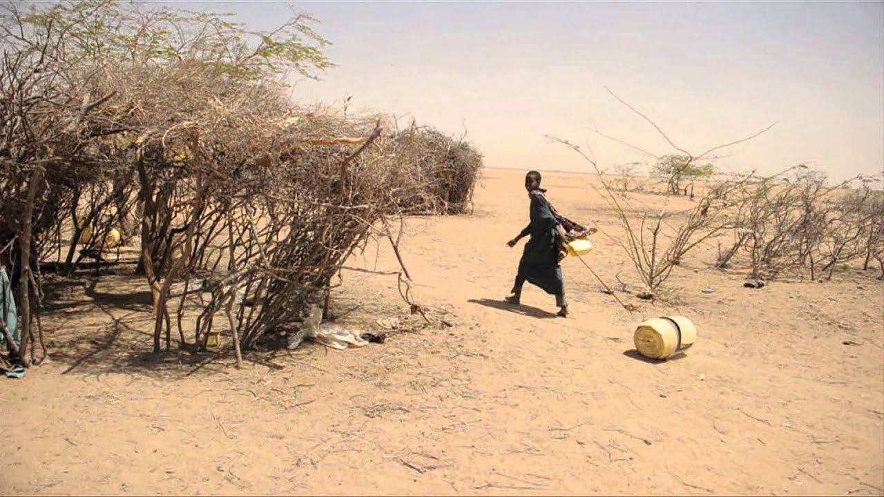 Copout In Cairo: ‘They’ Just Don’t&nbsp;Care